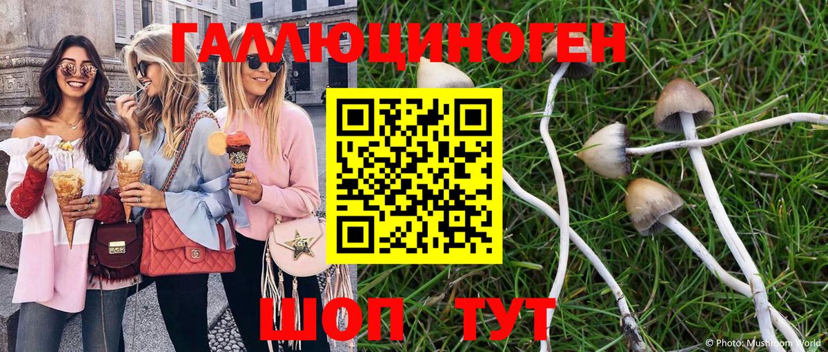 Псилоцибиновые грибы мицелий Ухта